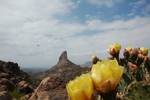 photo thumbnail #4