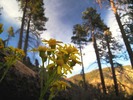 photo thumbnail #10