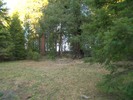 photo thumbnail #15