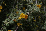 photo thumbnail #10