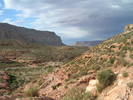 photo thumbnail #1