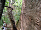 photo thumbnail #8