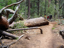 photo thumbnail #9