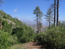 photo thumbnail #2