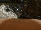 photo thumbnail #15