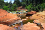 photo thumbnail #12