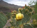 photo thumbnail #9