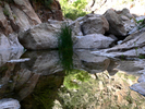 photo thumbnail #15