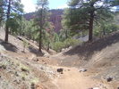 photo thumbnail #12