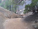 photo thumbnail #13