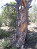 photo thumbnail #3