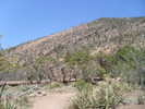 photo thumbnail #4