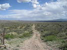 photo thumbnail #2