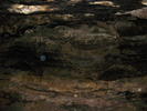 photo thumbnail #13