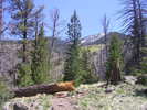 photo thumbnail #10