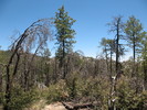 photo thumbnail #3