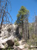 photo thumbnail #5
