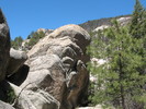 photo thumbnail #6