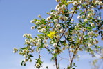 photo thumbnail #1