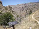 photo thumbnail #3