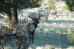 photo thumbnail #6