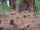 photo thumbnail #3