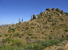 photo thumbnail #4
