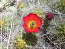 photo thumbnail #6