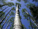 photo thumbnail #10