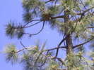 photo thumbnail #15