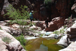 photo thumbnail #13