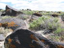 photo thumbnail #9