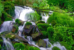 photo thumbnail #13