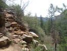 photo thumbnail #6