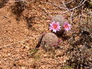 photo thumbnail #9