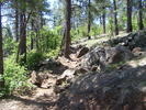 photo thumbnail #5