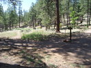 photo thumbnail #6