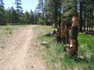 photo thumbnail #9