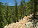 photo thumbnail #3