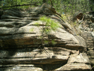 photo thumbnail #12