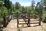 photo thumbnail #14