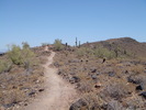 photo thumbnail #5