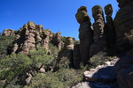photo thumbnail #8
