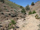 photo thumbnail #11