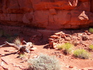 photo thumbnail #14