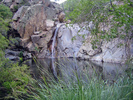 photo thumbnail #4