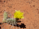 photo thumbnail #3
