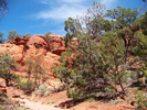 photo thumbnail #5