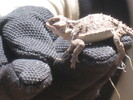 photo thumbnail #2