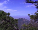 photo thumbnail #7